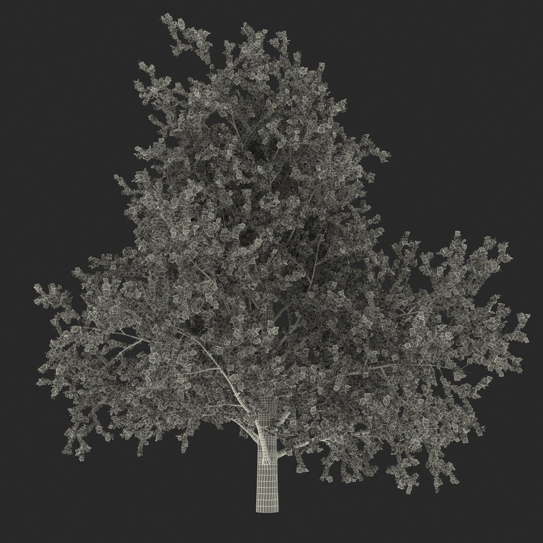 platanus tree c4d https://p.turbosquid.com/ts-thumb/QA/ounISA/CbTkyZCQ/platanustree_22/jpg/1390371095/1920x1080/fit_q87/82f7782307a9801f376a849f2abeba32a326c273/platanustree_22.jpg