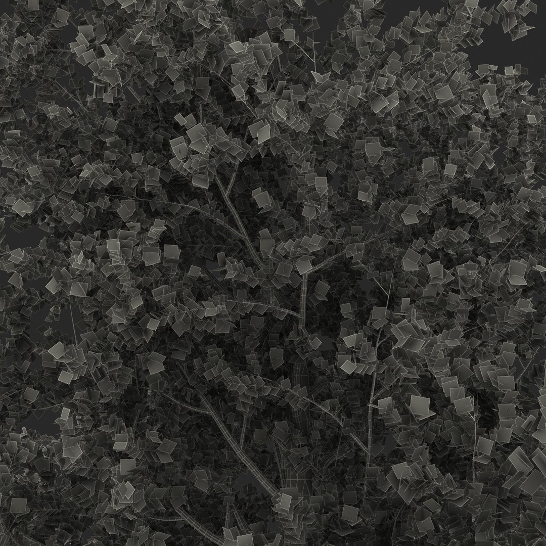 platanus tree c4d https://p.turbosquid.com/ts-thumb/QA/ounISA/Cs2TPlXy/platanustree_34/jpg/1390371201/1920x1080/fit_q87/514e21a942433bb986fcfb60dd1d59794456a793/platanustree_34.jpg