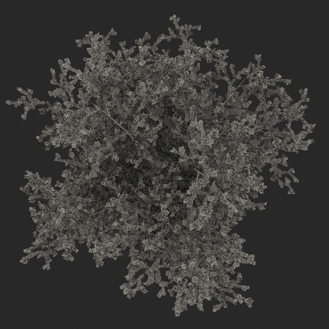platanus tree c4d https://p.turbosquid.com/ts-thumb/QA/ounISA/Jk2Ecr6A/platanustree_30/jpg/1390371164/1920x1080/fit_q87/1462f503103811ea7a89da3b8a5da11cc0358ef6/platanustree_30.jpg