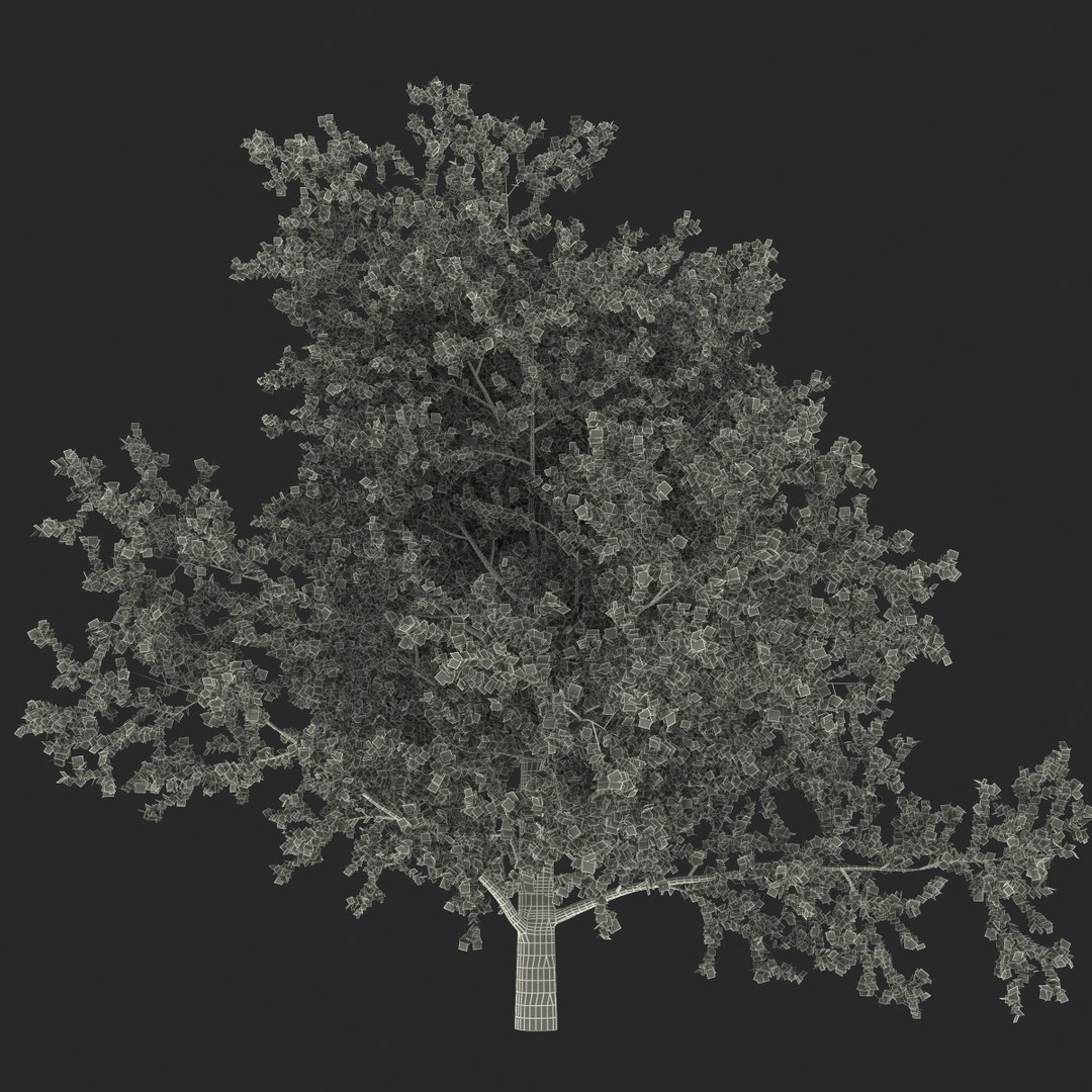 platanus tree c4d https://p.turbosquid.com/ts-thumb/QA/ounISA/QqrXCQuH/platanustree_23/jpg/1390371101/1920x1080/fit_q87/8adaeedf5f7fa102cb29703a2dd079e951399a33/platanustree_23.jpg