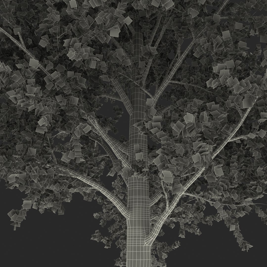 platanus tree c4d https://p.turbosquid.com/ts-thumb/QA/ounISA/U3Tevxgu/platanustree_31/jpg/1390371176/1920x1080/fit_q87/240365eb8be8051f7ab13a4da58824455c5aceb3/platanustree_31.jpg