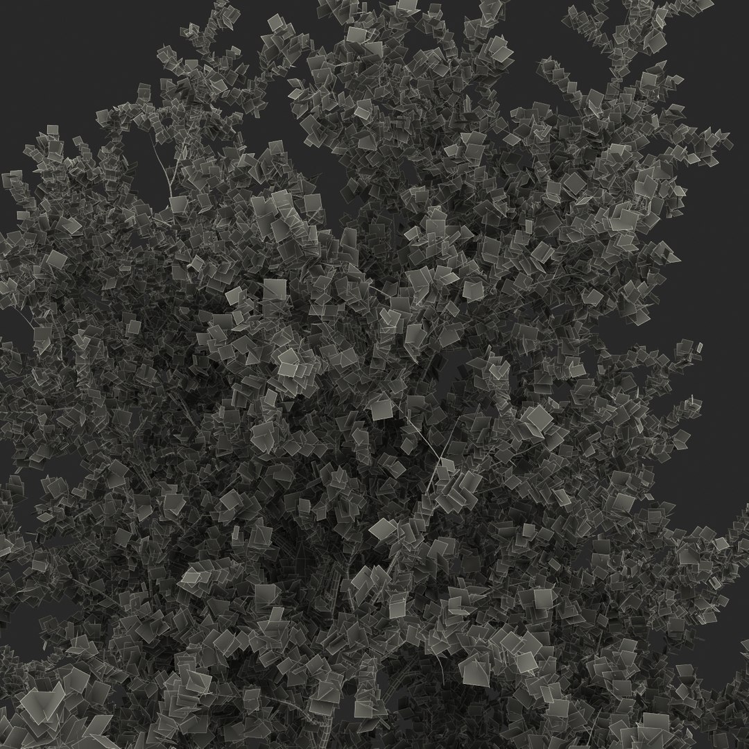 platanus tree c4d https://p.turbosquid.com/ts-thumb/QA/ounISA/UYNcUUXl/platanustree_37/jpg/1390371229/1920x1080/fit_q87/beeea15c4977a840f66361af51ff512a509bb670/platanustree_37.jpg
