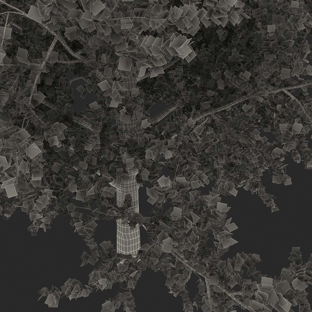 platanus tree c4d https://p.turbosquid.com/ts-thumb/QA/ounISA/YH3HUzf6/platanustree_36/jpg/1390371222/1920x1080/fit_q87/47cec3adbaa7a351f0195e61e9b3d6f539410206/platanustree_36.jpg