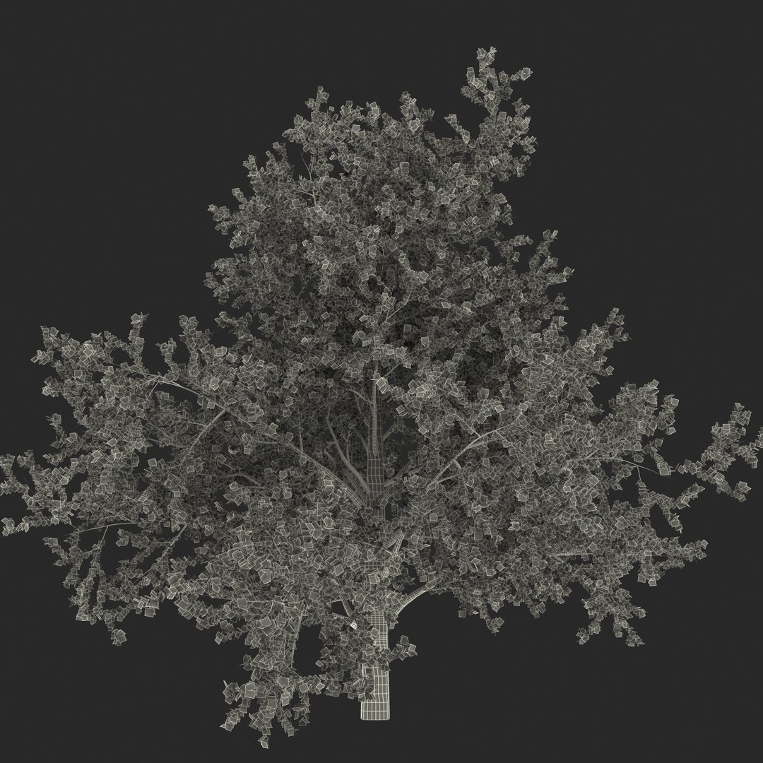 platanus tree c4d https://p.turbosquid.com/ts-thumb/QA/ounISA/dVM3HA9p/platanustree_25/jpg/1390371122/1920x1080/fit_q87/d9b63ddd3ab79760527c4bd4872ec33d24d805cc/platanustree_25.jpg