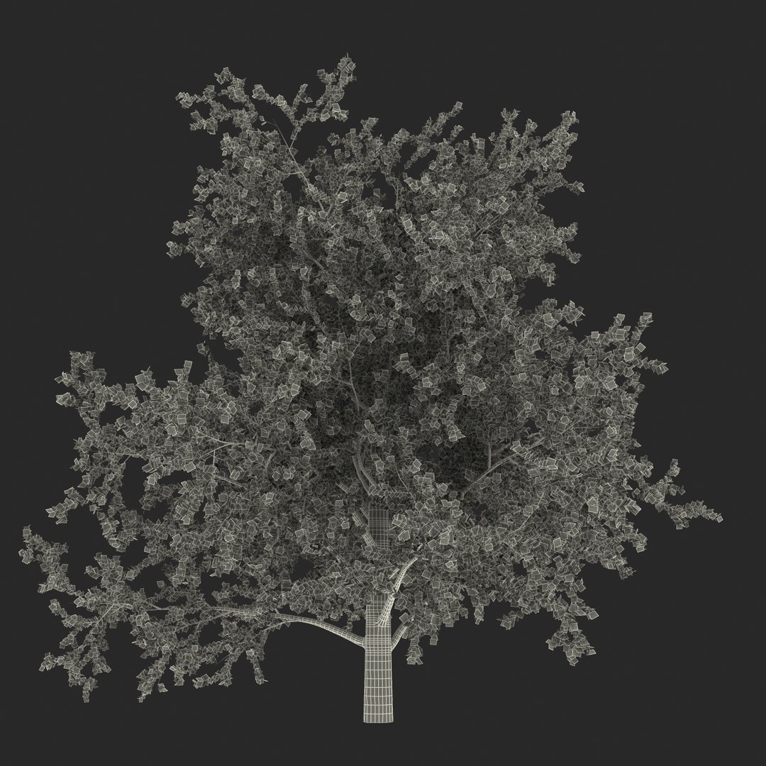 platanus tree c4d https://p.turbosquid.com/ts-thumb/QA/ounISA/g3ZcRH6W/platanustree_27/jpg/1390371141/1920x1080/fit_q87/cdf3b3f443c40d79bb27797973e827b13e11e3fd/platanustree_27.jpg