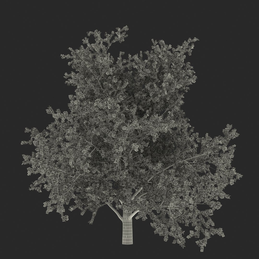 platanus tree c4d https://p.turbosquid.com/ts-thumb/QA/ounISA/rkzU5BYS/platanustree_24/jpg/1390371110/1920x1080/fit_q87/448f573d6abf53de1c4ba2cee4055b641e816ddc/platanustree_24.jpg