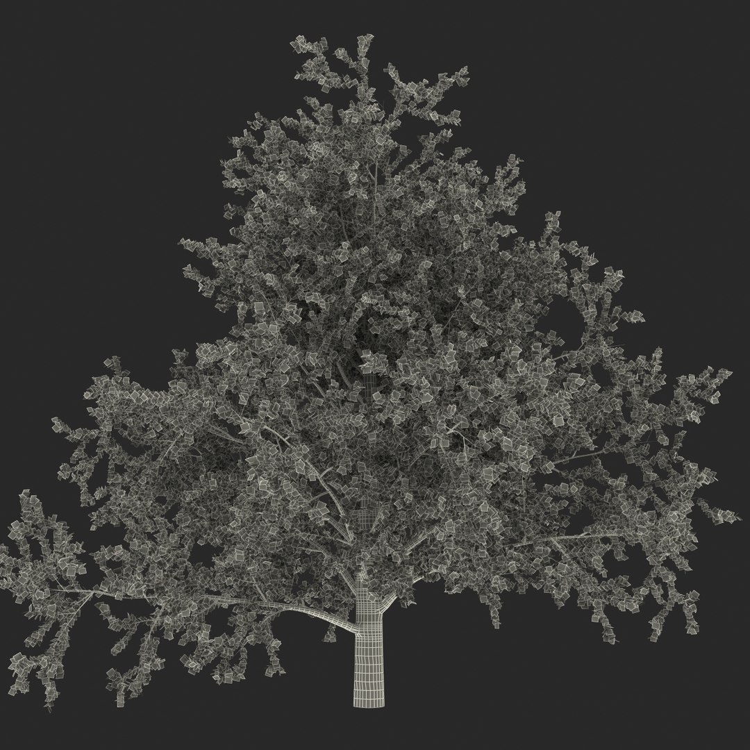 platanus tree c4d https://p.turbosquid.com/ts-thumb/QA/ounISA/y6SdMofU/platanustree_26/jpg/1390371128/1920x1080/fit_q87/3bf6efa6f3190eb9990cbe6ebcacf59315d45491/platanustree_26.jpg