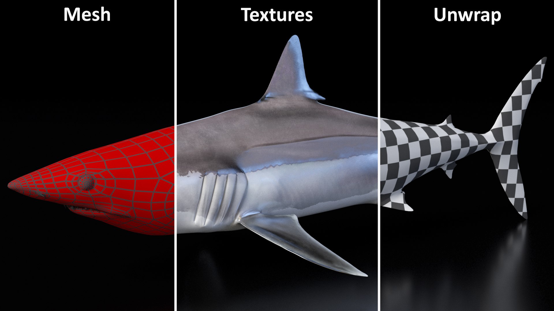 Realistic Shortfin Mako Shark Rigged 3D https://p.turbosquid.com/ts-thumb/QA/xuFzOV/FJ/realistic_shortfin_mako_shark_rigged_020/jpg/1734829154/1920x1080/fit_q87/28ada7c2699d3d1eab7436e6330dcdba5f35322b/realistic_shortfin_mako_shark_rigged_020.jpg