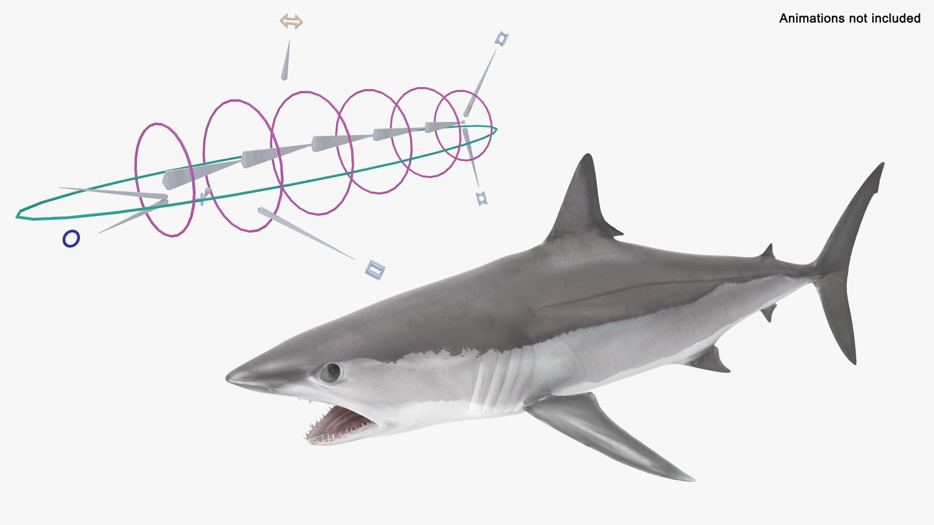 Realistic Shortfin Mako Shark Rigged 3D https://p.turbosquid.com/ts-thumb/QA/xuFzOV/lm/realistic_shortfin_mako_shark_rigged_362/jpg/1734828973/1920x1080/turn_fit_q99/21845b6025376c065585a0421f5a89292496875d/realistic_shortfin_mako_shark_rigged_362-1.jpg