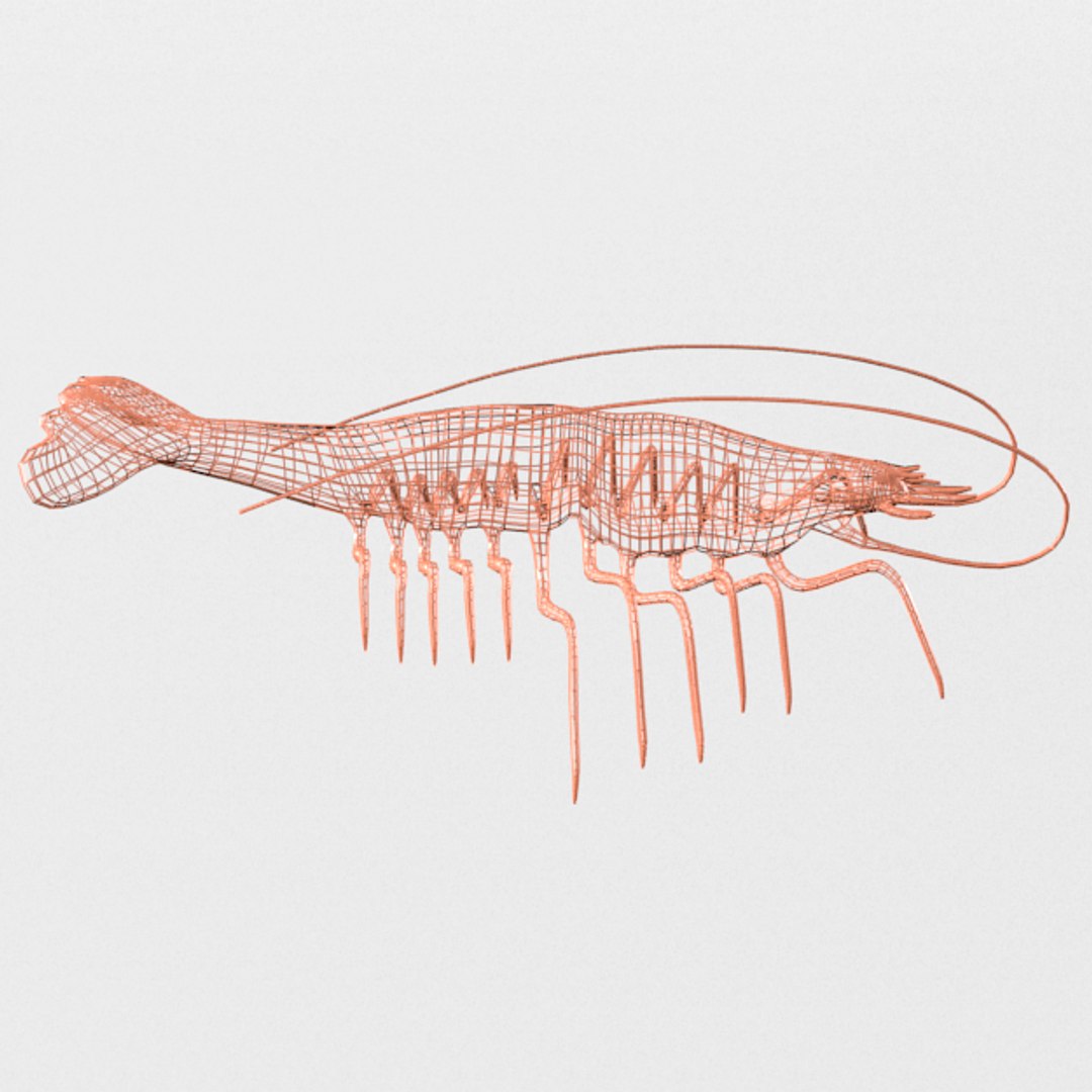 3D red prawns - TurboSquid 1336456