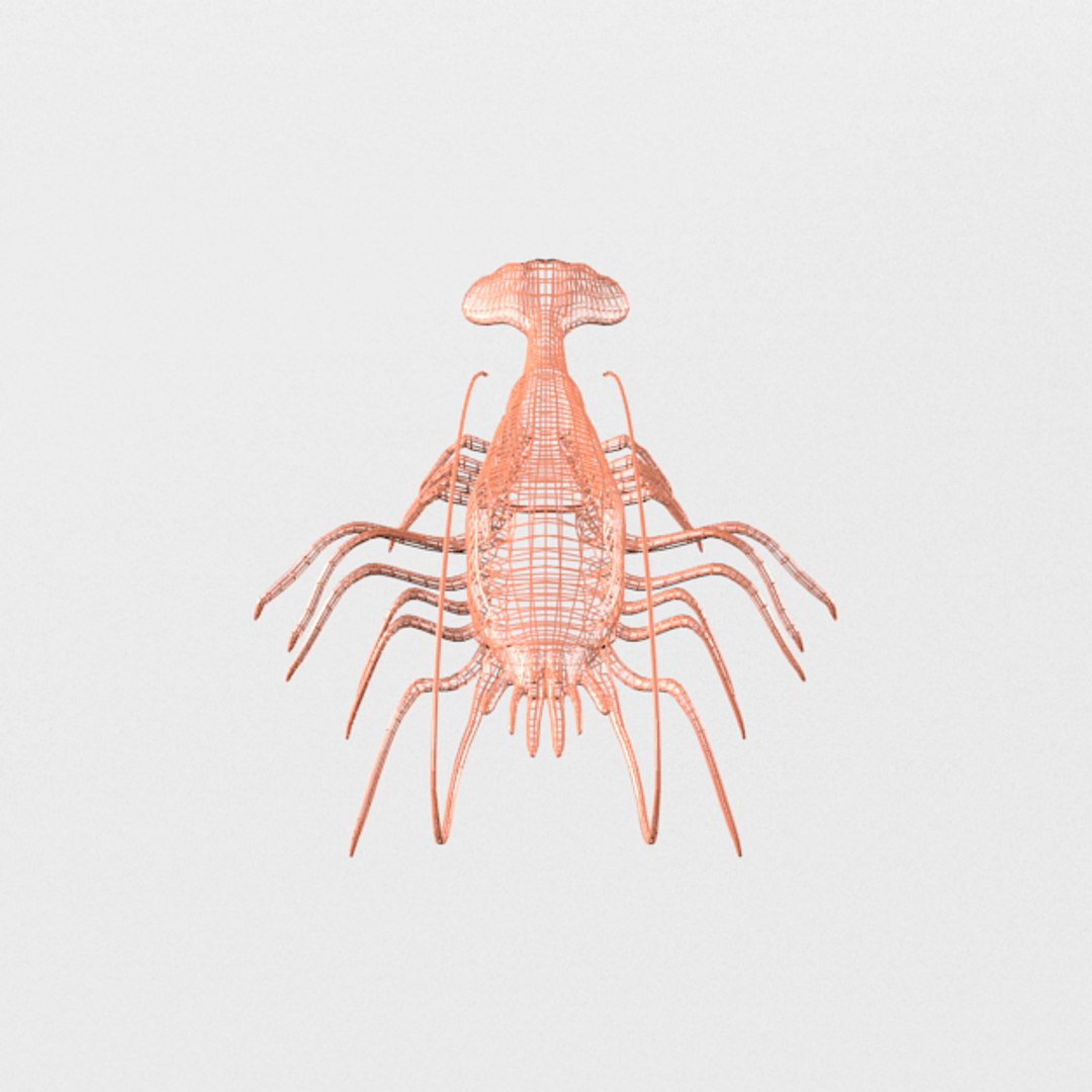 3D red prawns - TurboSquid 1336456
