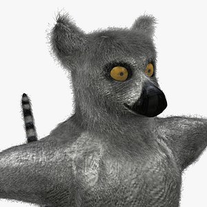 ring tailed lemur ma