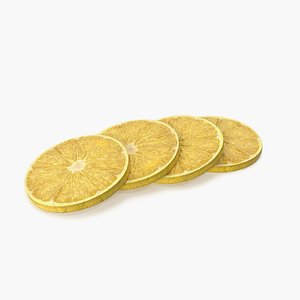 LemonSlices 3D model
