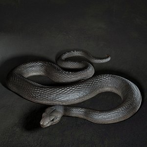 3D Snake model