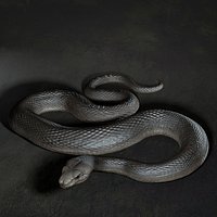 Snake