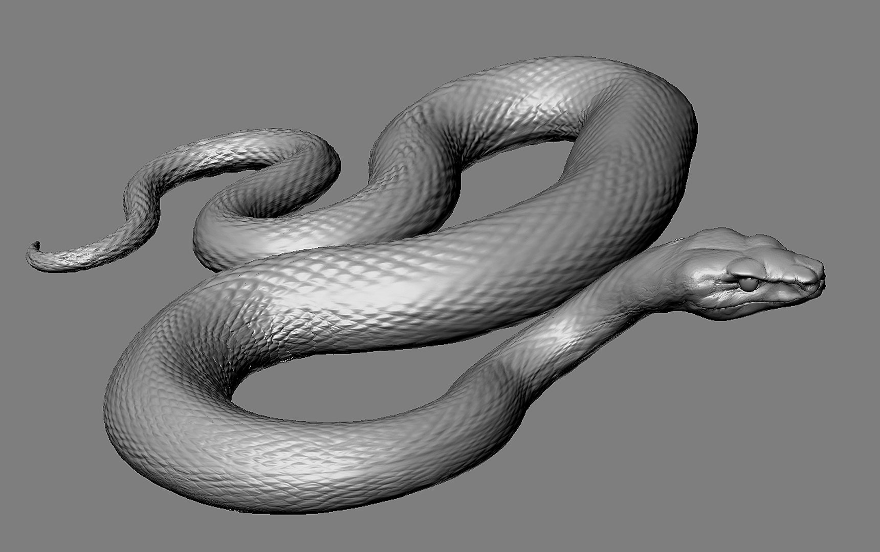 3D Snake Model - TurboSquid 2407279