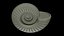 Ammonoid shell with monoschizotomous tripartite ribs