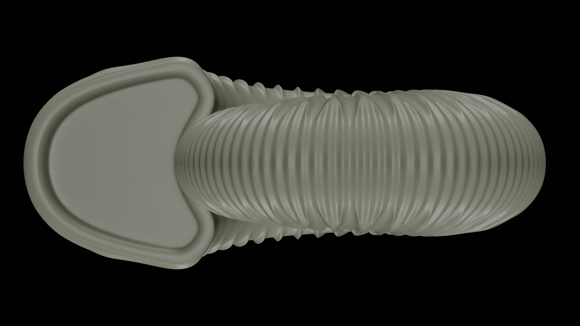 Ammonoid shell with trichotomous ribs 3D model https://p.turbosquid.com/ts-thumb/QB/uj1WPb/64/02/png/1729637984/1920x1080/fit_q87/f7a18c37d9394dd284214641484ba99eca6f6a50/02.jpg