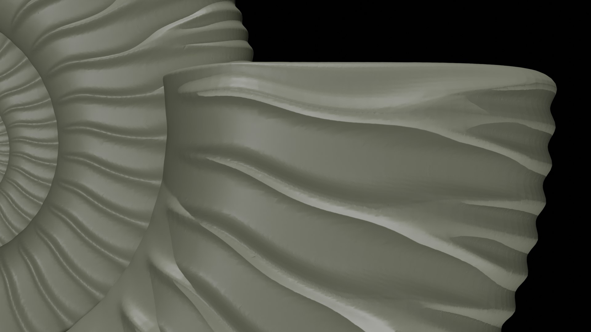 Ammonoid shell with trichotomous ribs 3D model https://p.turbosquid.com/ts-thumb/QB/uj1WPb/6I/06/png/1729637986/1920x1080/fit_q87/3b5110472057a12ecc4a3b3e222221b4f47ff6d7/06.jpg
