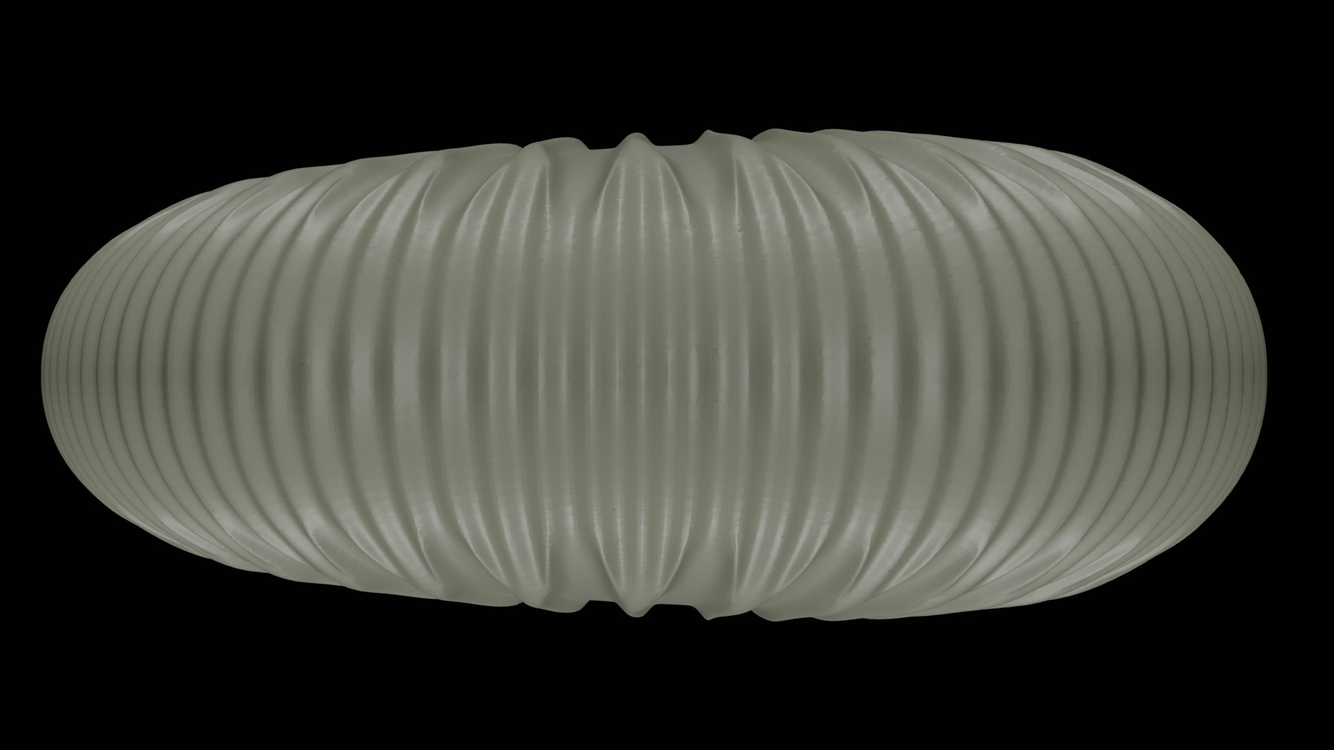 Ammonoid shell with trichotomous ribs 3D model https://p.turbosquid.com/ts-thumb/QB/uj1WPb/Na/03/png/1729637987/1920x1080/fit_q87/25d84e8617d1dd143cd81121874d9662f5ec0673/03.jpg