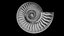 Ammonoid shell with monoschizotomous tripartite ribs