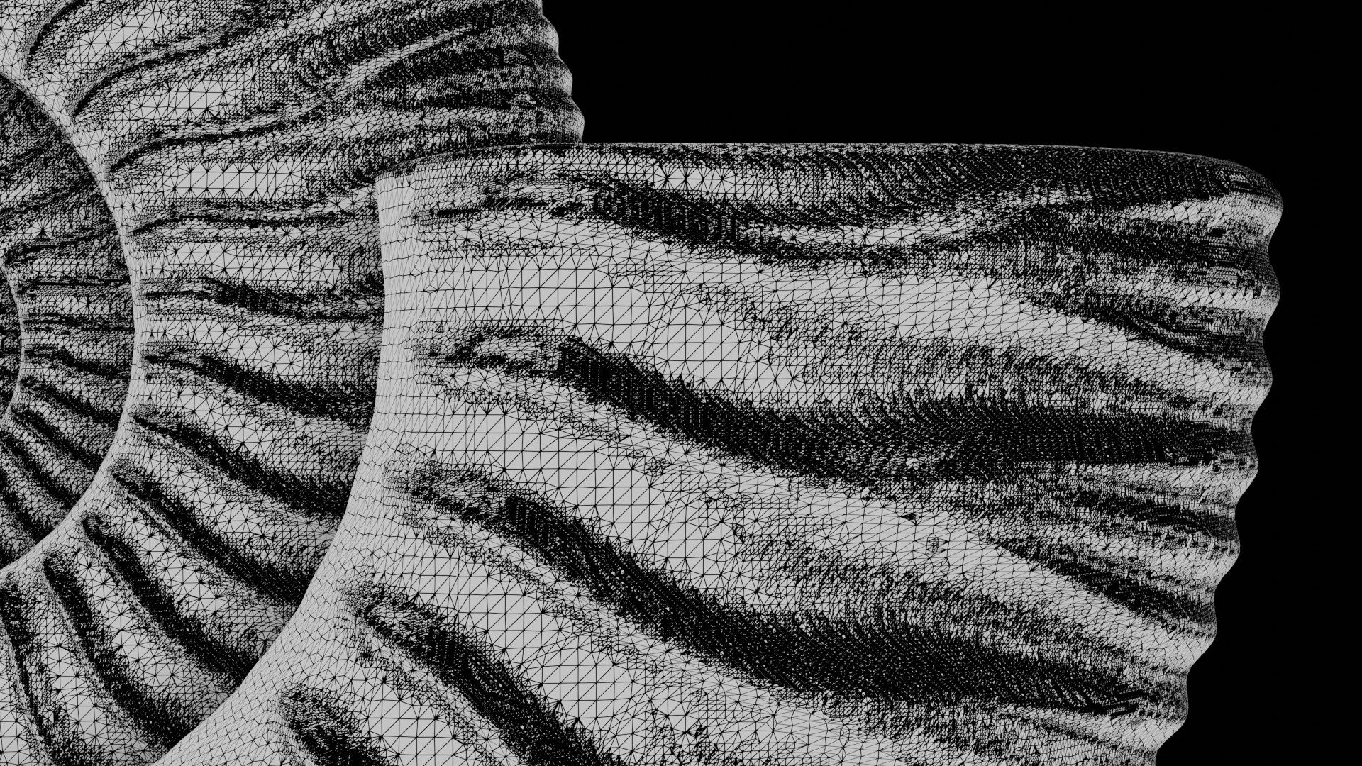 Ammonoid shell with trichotomous ribs 3D model https://p.turbosquid.com/ts-thumb/QB/uj1WPb/bo/0006/png/1729637998/1920x1080/fit_q87/893dd1dcef7d6c1669c8fd9bc683de927c6a606e/0006.jpg
