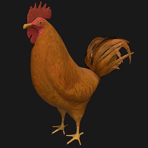 Brown Rooster Hen Rigged Low Poly