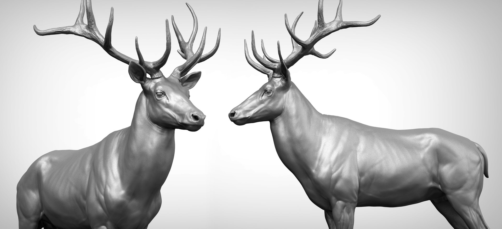 Red Deer Stag Elk Textured VFX MUSCLE SIMULATION 3D model https://p.turbosquid.com/ts-thumb/QC/GlrKyx/HN/2ava.jpg4478e11b55e84cb69f56033176798c8dzoom1/jpg/1650970966/1920x1080/fit_q87/ef5a1c1f75a512cb4ce94a63dae2cdbb5a2709de/2ava.jpg4478e11b55e84cb69f56033176798c8dzoom1.jpg