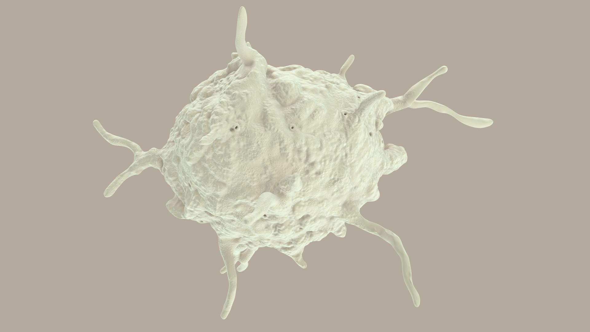 blood cells 3D model https://p.turbosquid.com/ts-thumb/QC/HzHQjL/1jifMnPj/platelets_0036/jpg/1588238049/1920x1080/fit_q87/f86397439fa22c16e07ca12e032c7d55998a58eb/platelets_0036.jpg