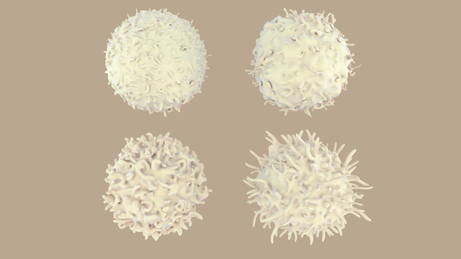 blood cells 3D model https://p.turbosquid.com/ts-thumb/QC/HzHQjL/6krX6VqN/lymphocytes/jpg/1588237369/1920x1080/turn_fit_q99/dcf242949f21ccd87e604c460c999559d387847c/lymphocytes-1.jpg