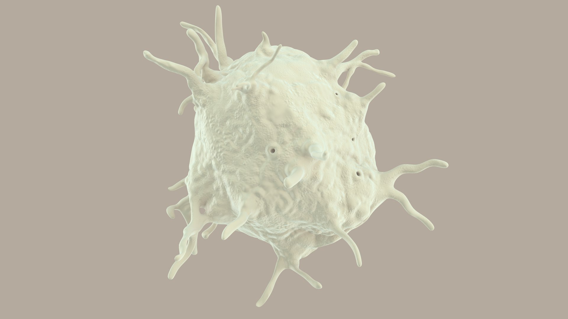 blood cells 3D model https://p.turbosquid.com/ts-thumb/QC/HzHQjL/E501GYeO/platelets_0028/jpg/1588238049/1920x1080/fit_q87/abb6d6689a4bf81bf9860a655e0eddc201c91118/platelets_0028.jpg
