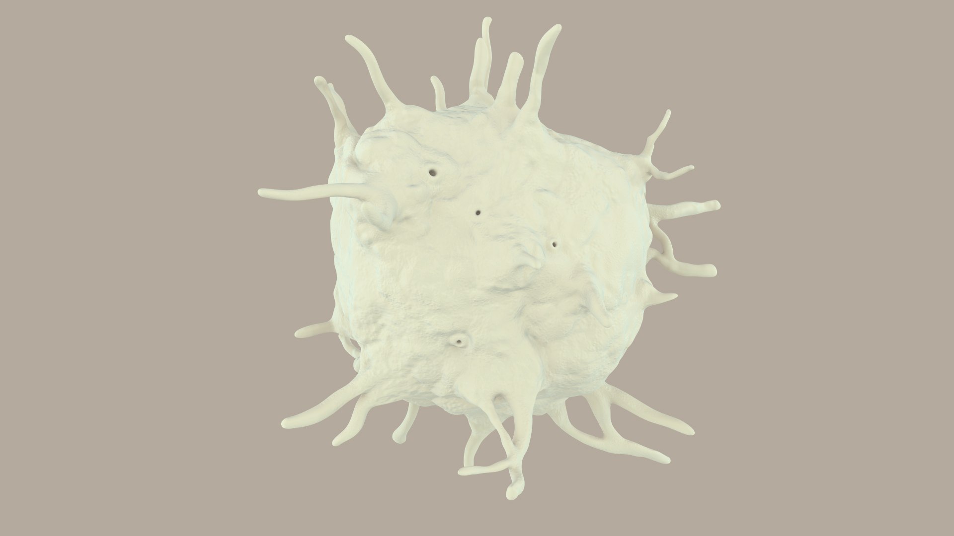 blood cells 3D model https://p.turbosquid.com/ts-thumb/QC/HzHQjL/F8LT5D7J/platelets_0023/jpg/1588238049/1920x1080/fit_q87/cd9c06ce9df02518cb45ddba910a52a70c429161/platelets_0023.jpg