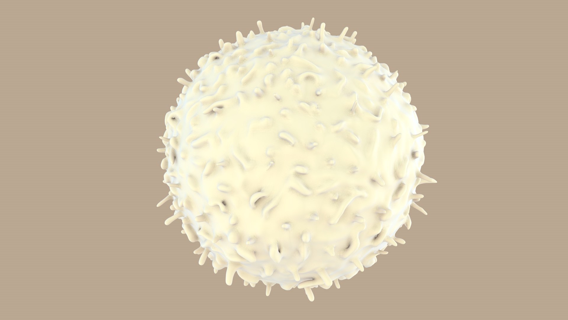 blood cells 3D model https://p.turbosquid.com/ts-thumb/QC/HzHQjL/HbWQS9JR/lymphocytes_0003/jpg/1588237373/1920x1080/fit_q87/da57f31aa56d430c037d369c46b2ca15cb5b56d0/lymphocytes_0003.jpg