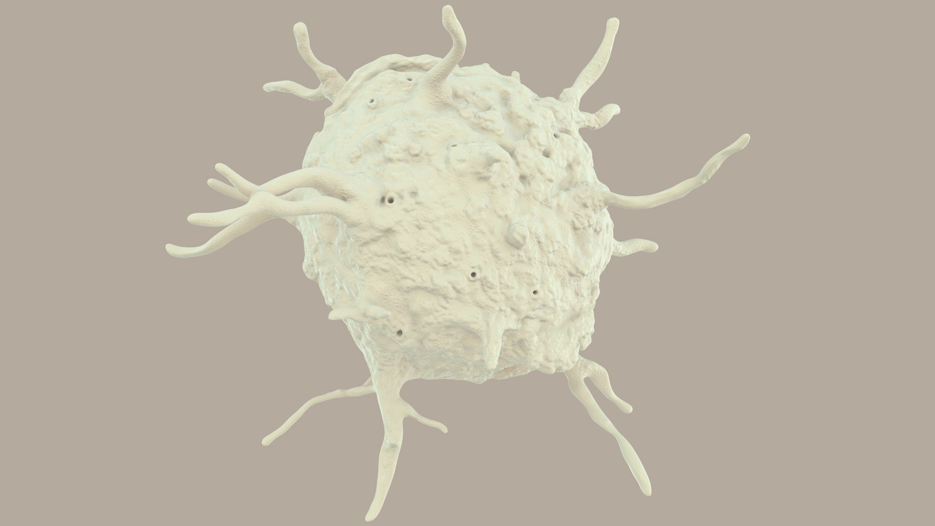 blood cells 3D model https://p.turbosquid.com/ts-thumb/QC/HzHQjL/LMPOZYG8/platelets_0033/jpg/1588238049/1920x1080/fit_q87/5571e17b03721ace6d9443c07c244608336c80ef/platelets_0033.jpg