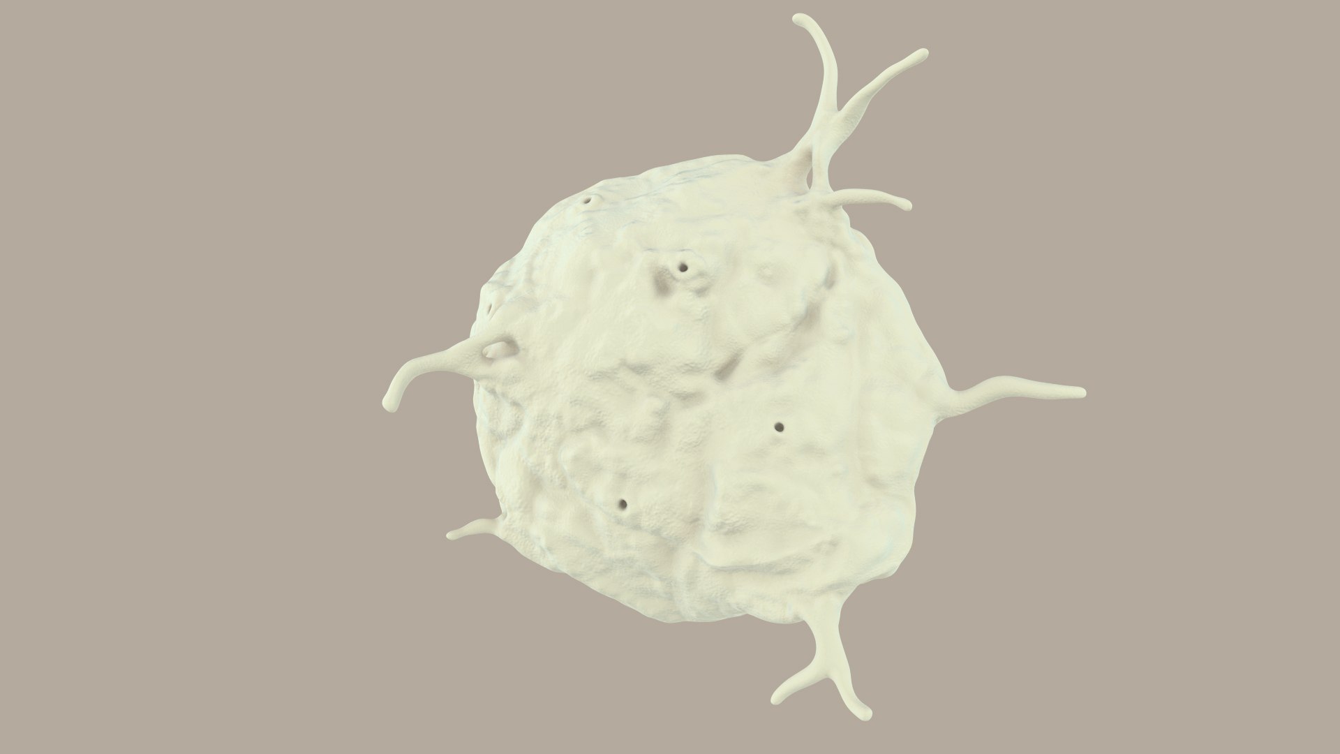 blood cells 3D model https://p.turbosquid.com/ts-thumb/QC/HzHQjL/QVd3ydmK/platelets_0016/jpg/1588238048/1920x1080/fit_q87/94d52afaf27ec2ece7dca1d20be831db6865e8ae/platelets_0016.jpg