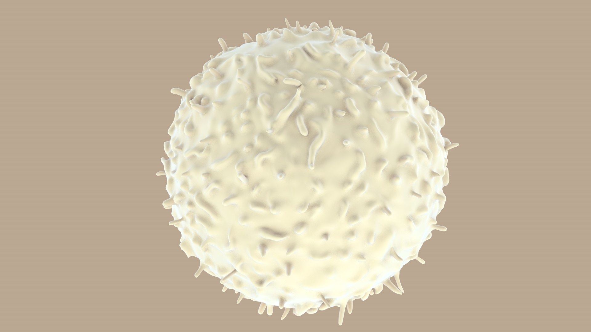 blood cells 3D model https://p.turbosquid.com/ts-thumb/QC/HzHQjL/QuC8uIPY/lymphocytes_0002/jpg/1588237373/1920x1080/fit_q87/46d965b6dc44f9f6f8efc027c7fa5c3b6f20799b/lymphocytes_0002.jpg