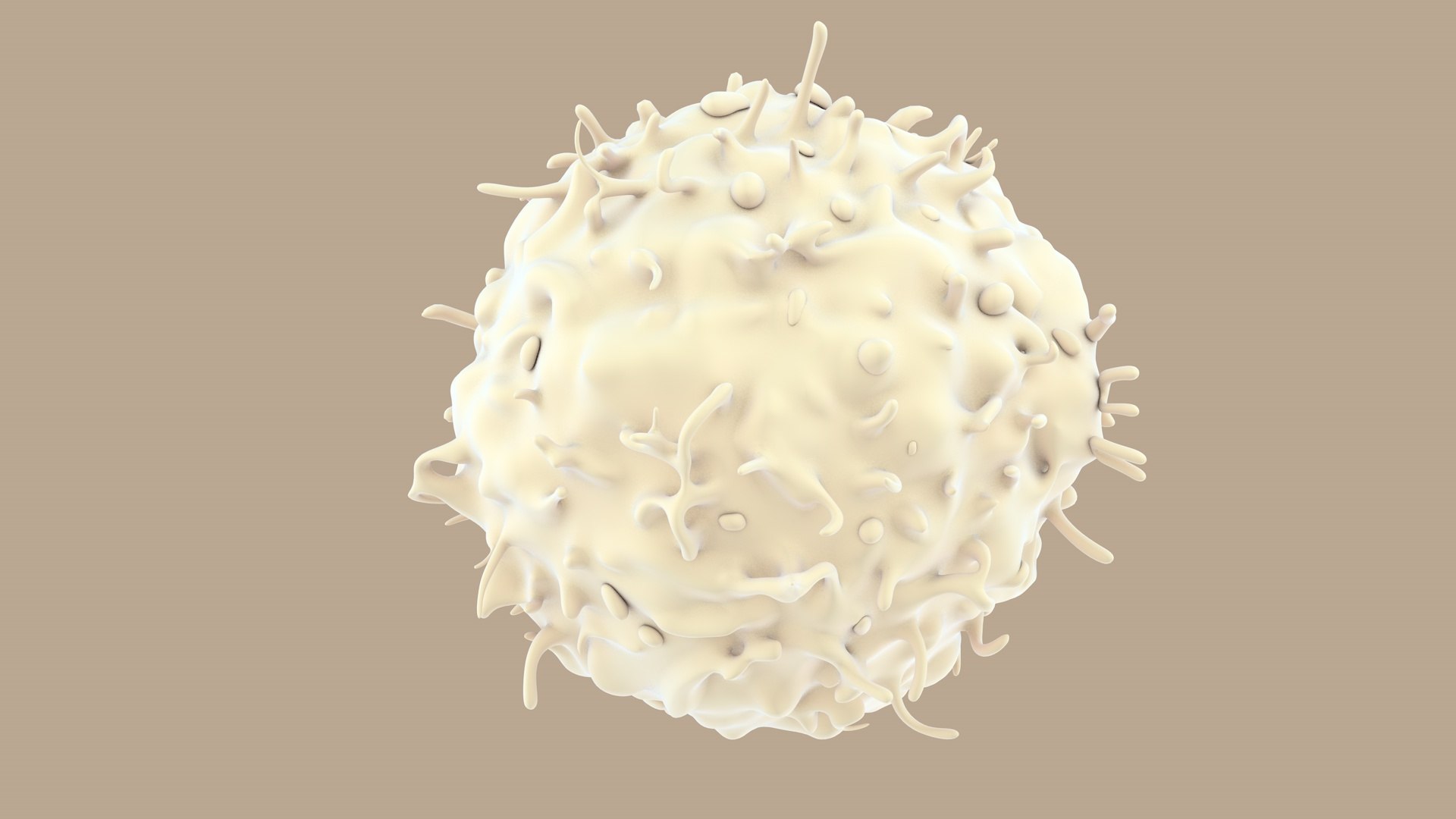 blood cells 3D model https://p.turbosquid.com/ts-thumb/QC/HzHQjL/SLUbkzGJ/lymphocytes_0007/jpg/1588237373/1920x1080/fit_q87/e72f8f0aac7486dafc4fbd436a7aecd1bee90424/lymphocytes_0007.jpg