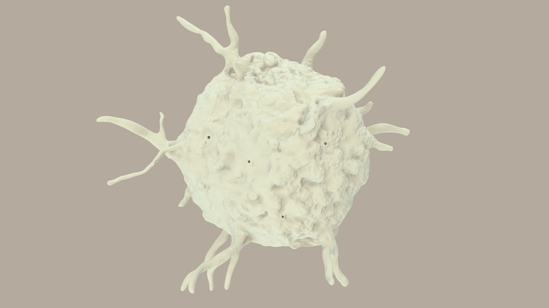 blood cells 3D model https://p.turbosquid.com/ts-thumb/QC/HzHQjL/Tw3T89Ml/platelets_0037/jpg/1588238049/1920x1080/fit_q87/09c6ef3bd7e9a98c9b75ee6bbd6c634319961943/platelets_0037.jpg