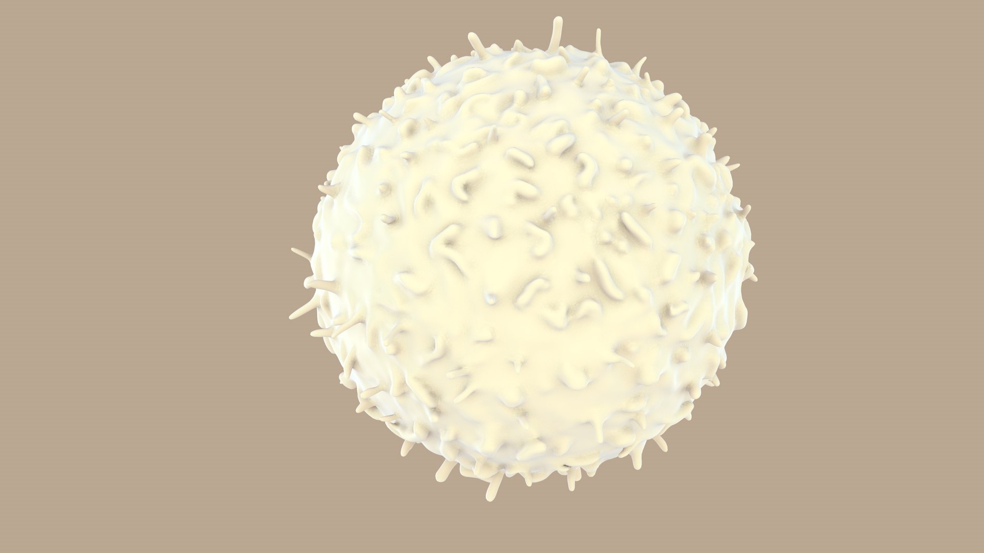 blood cells 3D model https://p.turbosquid.com/ts-thumb/QC/HzHQjL/V3BWqPEo/lymphocytes_0001/jpg/1588237373/1920x1080/fit_q87/d9bc0aeb6505aea8da79550a2fc8e4f7b149fec6/lymphocytes_0001.jpg
