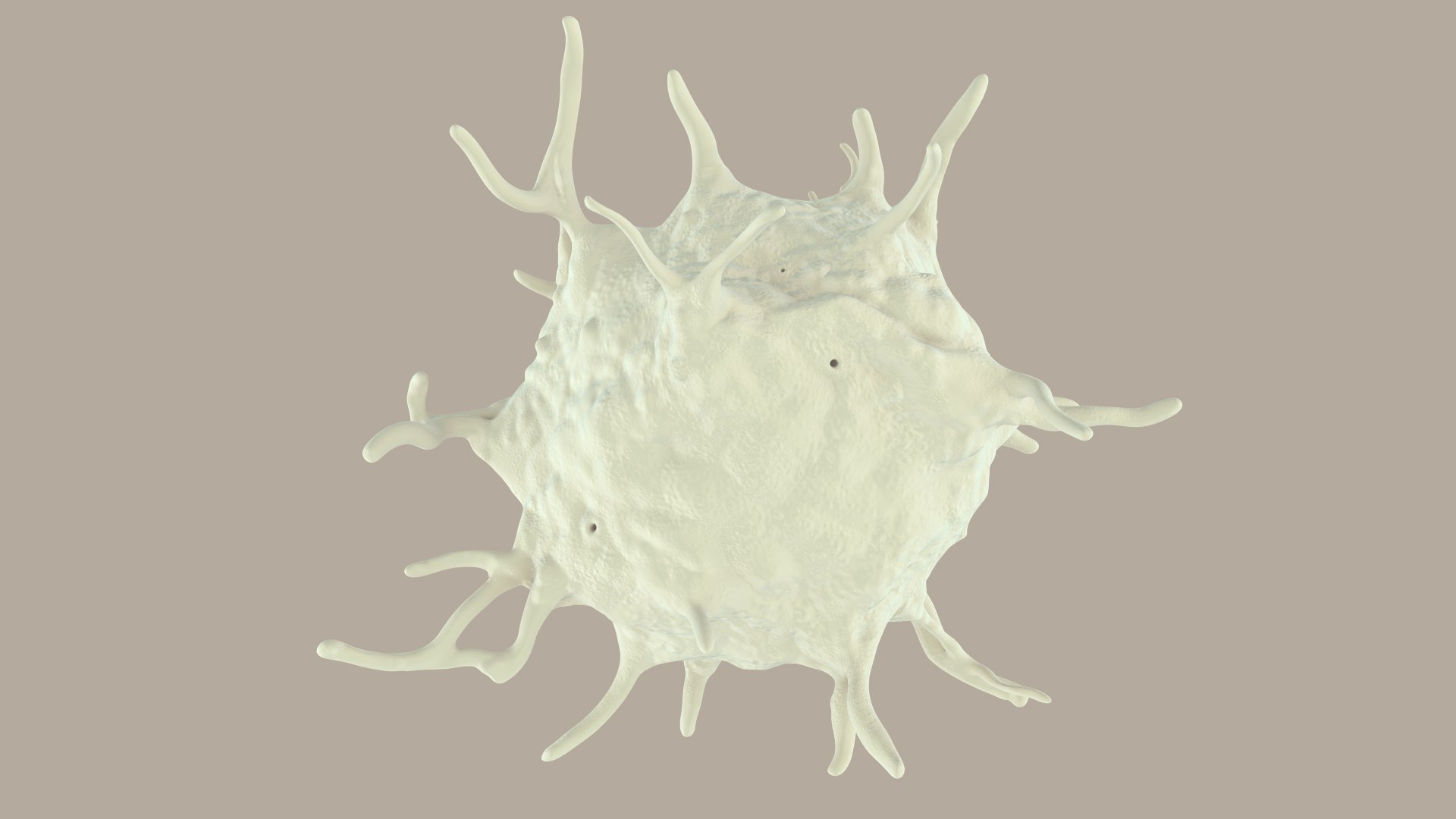 blood cells 3D model https://p.turbosquid.com/ts-thumb/QC/HzHQjL/VY6tQzxU/platelets_0024/jpg/1588238049/1920x1080/fit_q87/b407b685ecdd01833ec394d0c93444a96dd81314/platelets_0024.jpg