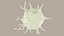 blood cells 3D model