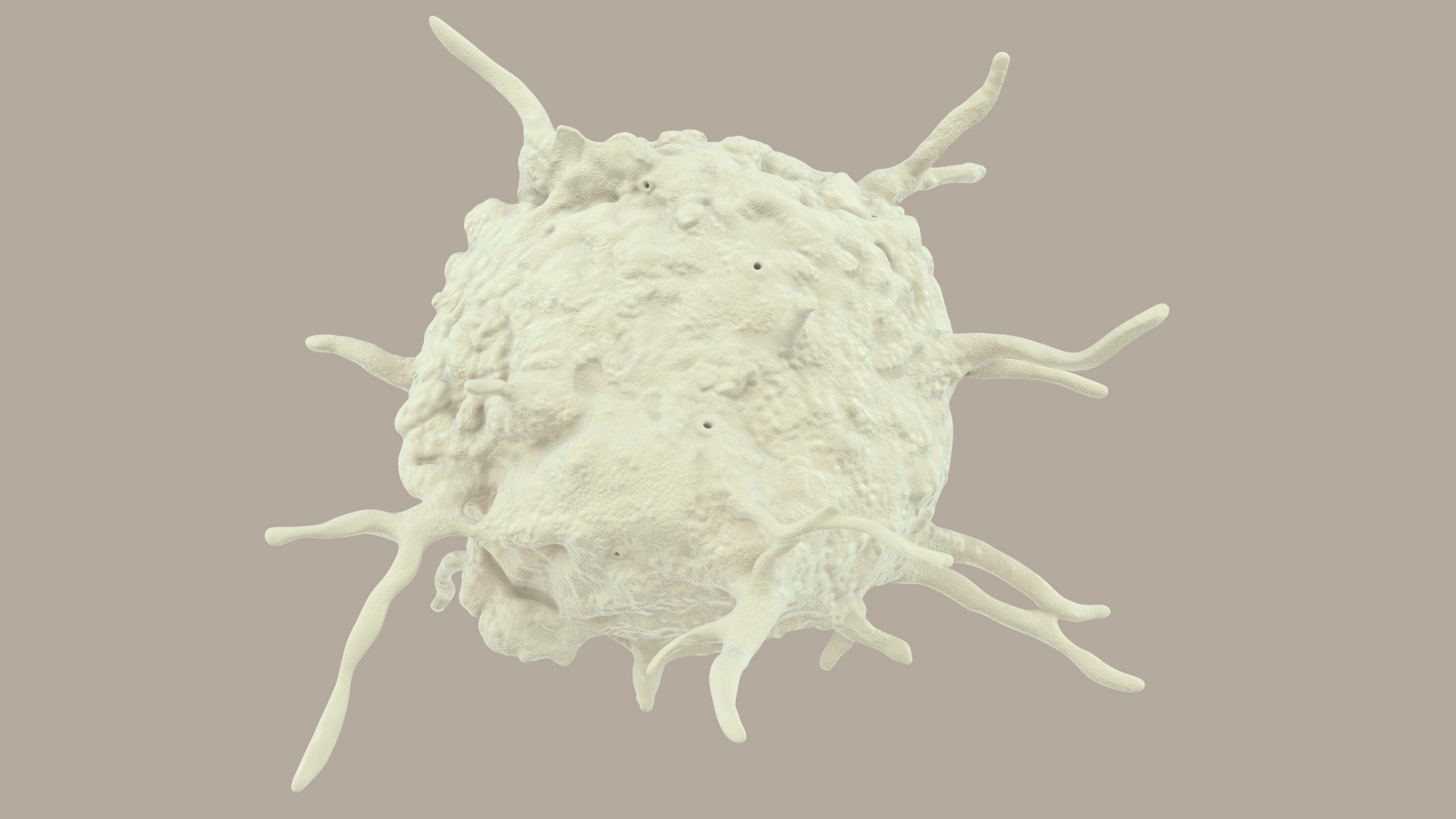 blood cells 3D model https://p.turbosquid.com/ts-thumb/QC/HzHQjL/W83SSUtT/platelets_0034/jpg/1588238049/1920x1080/fit_q87/43badd1fa67a15e81fd328561a9bc9772ff0657d/platelets_0034.jpg