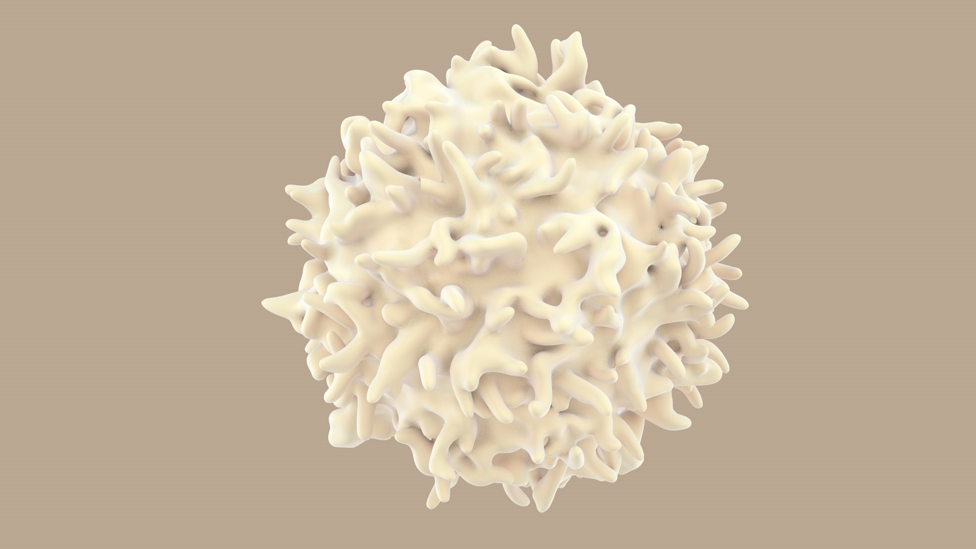 blood cells 3D model https://p.turbosquid.com/ts-thumb/QC/HzHQjL/WDKmLaBX/lymphocytes_0016/jpg/1588237373/1920x1080/fit_q87/b83915e7e4da9fc447ca240d773ece89111761ee/lymphocytes_0016.jpg