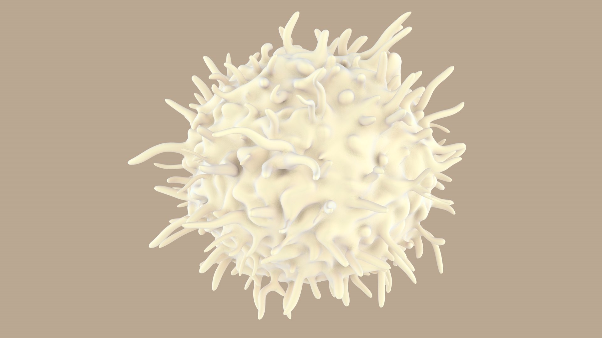 blood cells 3D model https://p.turbosquid.com/ts-thumb/QC/HzHQjL/WlRZEWMQ/lymphocytes_0009/jpg/1588237373/1920x1080/fit_q87/bd582a8a113754561b32807b347dbf1c2bf4036f/lymphocytes_0009.jpg