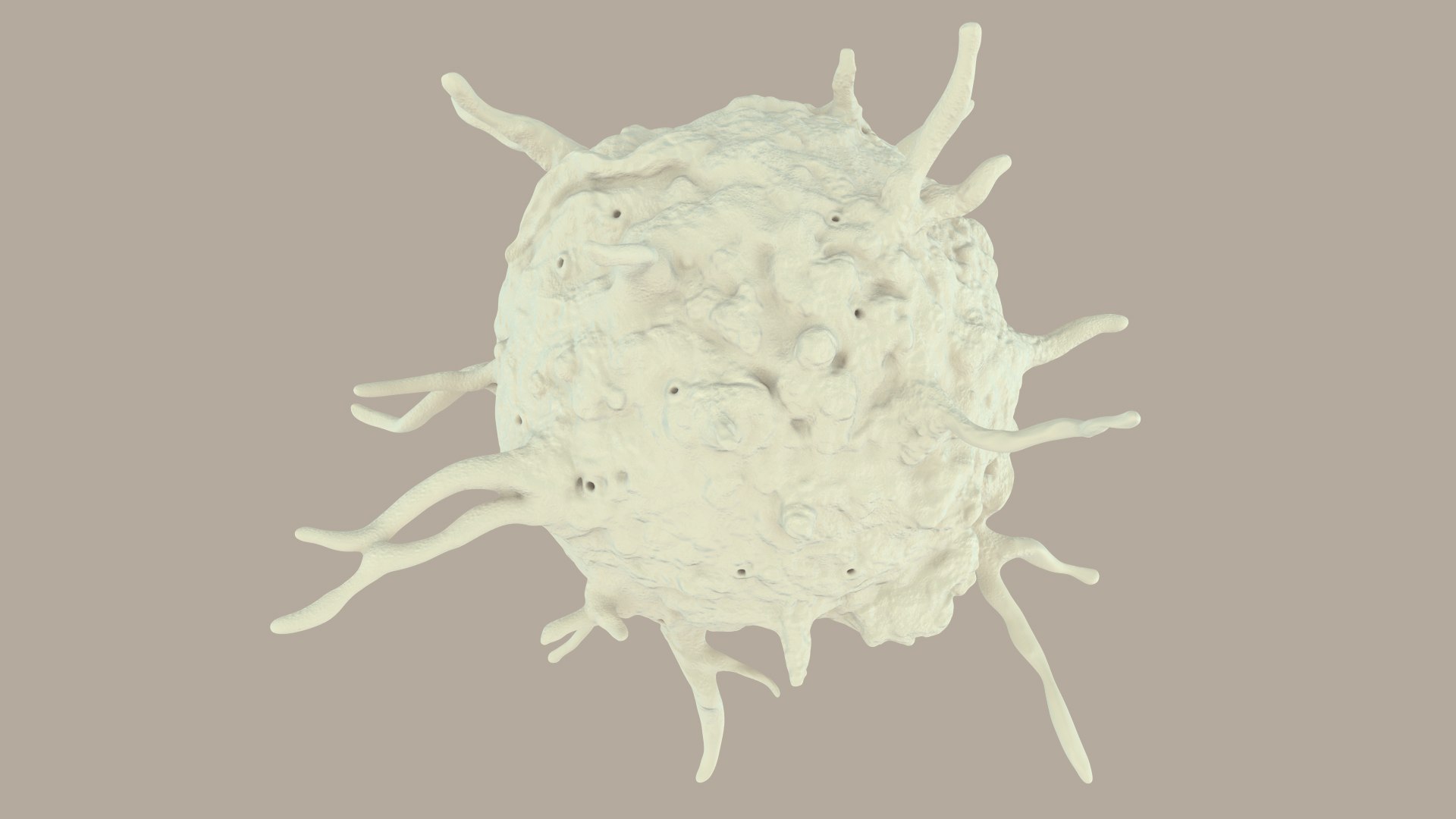 blood cells 3D model https://p.turbosquid.com/ts-thumb/QC/HzHQjL/WvMs9hm8/platelets_0035/jpg/1588238049/1920x1080/fit_q87/2525138d740bb3deccc35089e5c26d47ff47409d/platelets_0035.jpg