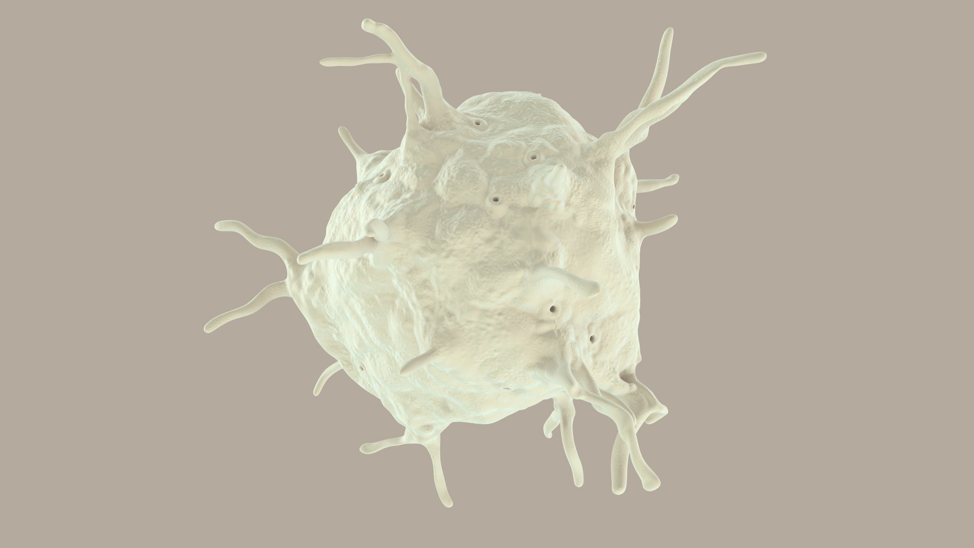 blood cells 3D model https://p.turbosquid.com/ts-thumb/QC/HzHQjL/bCk4YRCD/platelets_0027/jpg/1588238049/1920x1080/fit_q87/999f8c601188a12494102af5079fc4ad2052e737/platelets_0027.jpg