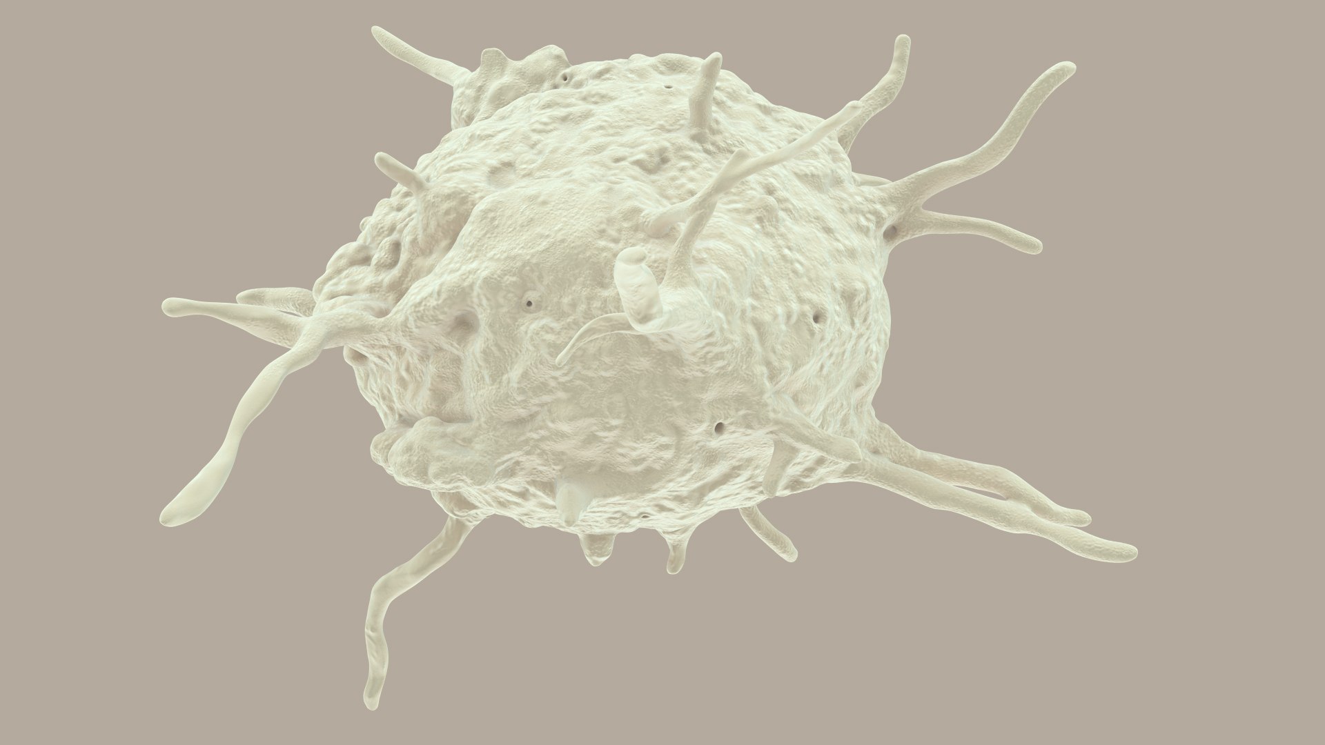 blood cells 3D model https://p.turbosquid.com/ts-thumb/QC/HzHQjL/bv4VXl6g/platelets_0032/jpg/1588238049/1920x1080/fit_q87/3af97e542470c55ae71c1b8423fcc8a977b85c0d/platelets_0032.jpg