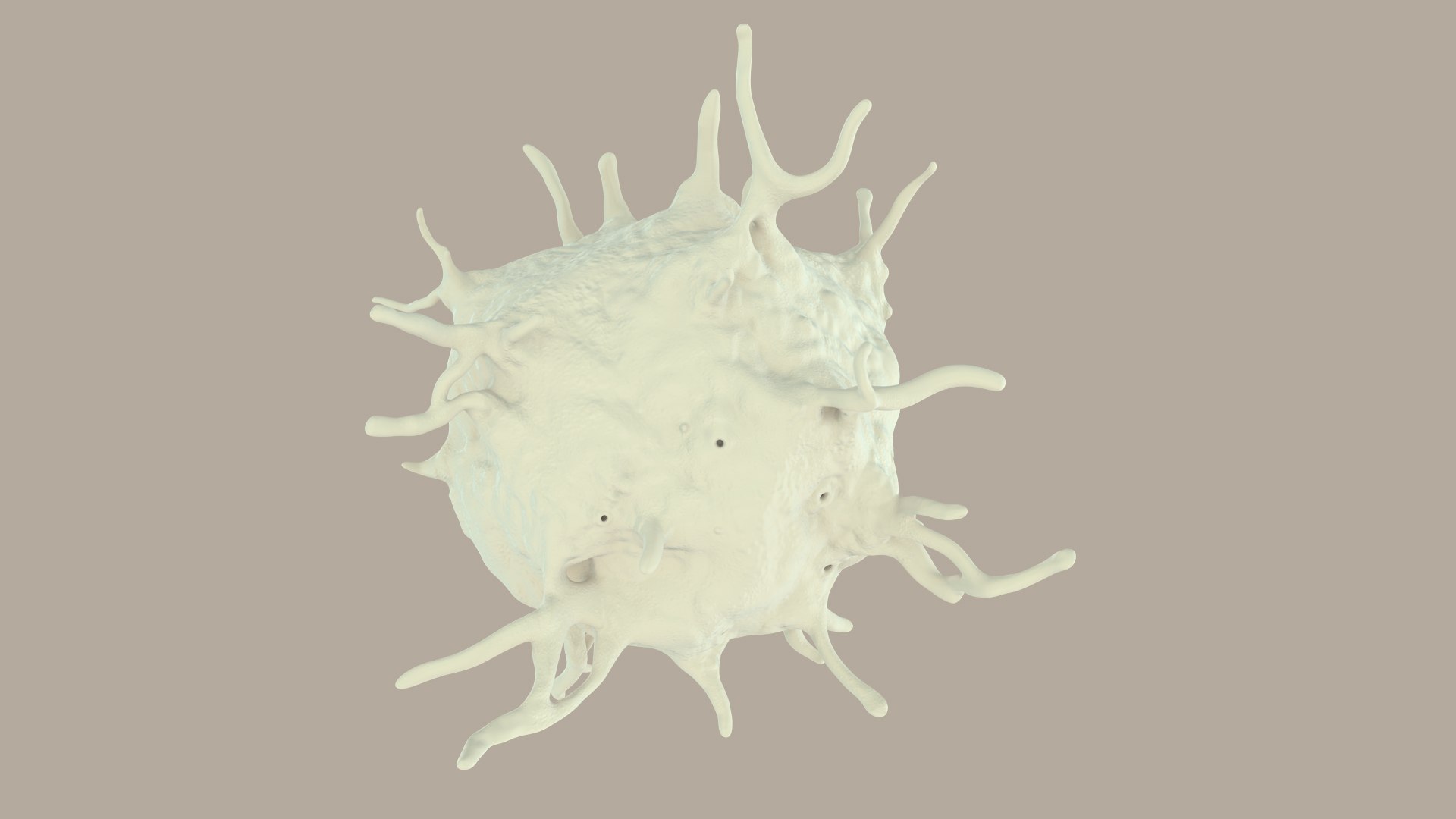 blood cells 3D model https://p.turbosquid.com/ts-thumb/QC/HzHQjL/cBKMTCFC/platelets_0025/jpg/1588238049/1920x1080/fit_q87/8009e586469aa40e15cd66b6f40e0c375ab7379a/platelets_0025.jpg