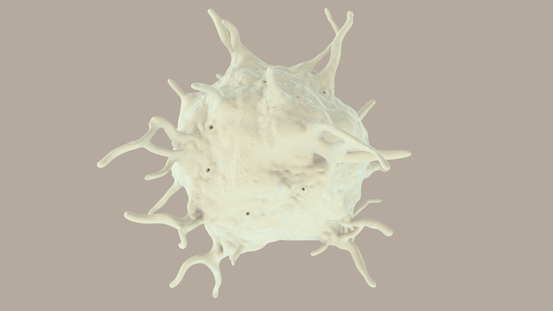 blood cells 3D model https://p.turbosquid.com/ts-thumb/QC/HzHQjL/isEORpoE/platelets_0029/jpg/1588238049/1920x1080/fit_q87/7efe4b557fa0153ae81456cf1e4de541bb3da45f/platelets_0029.jpg