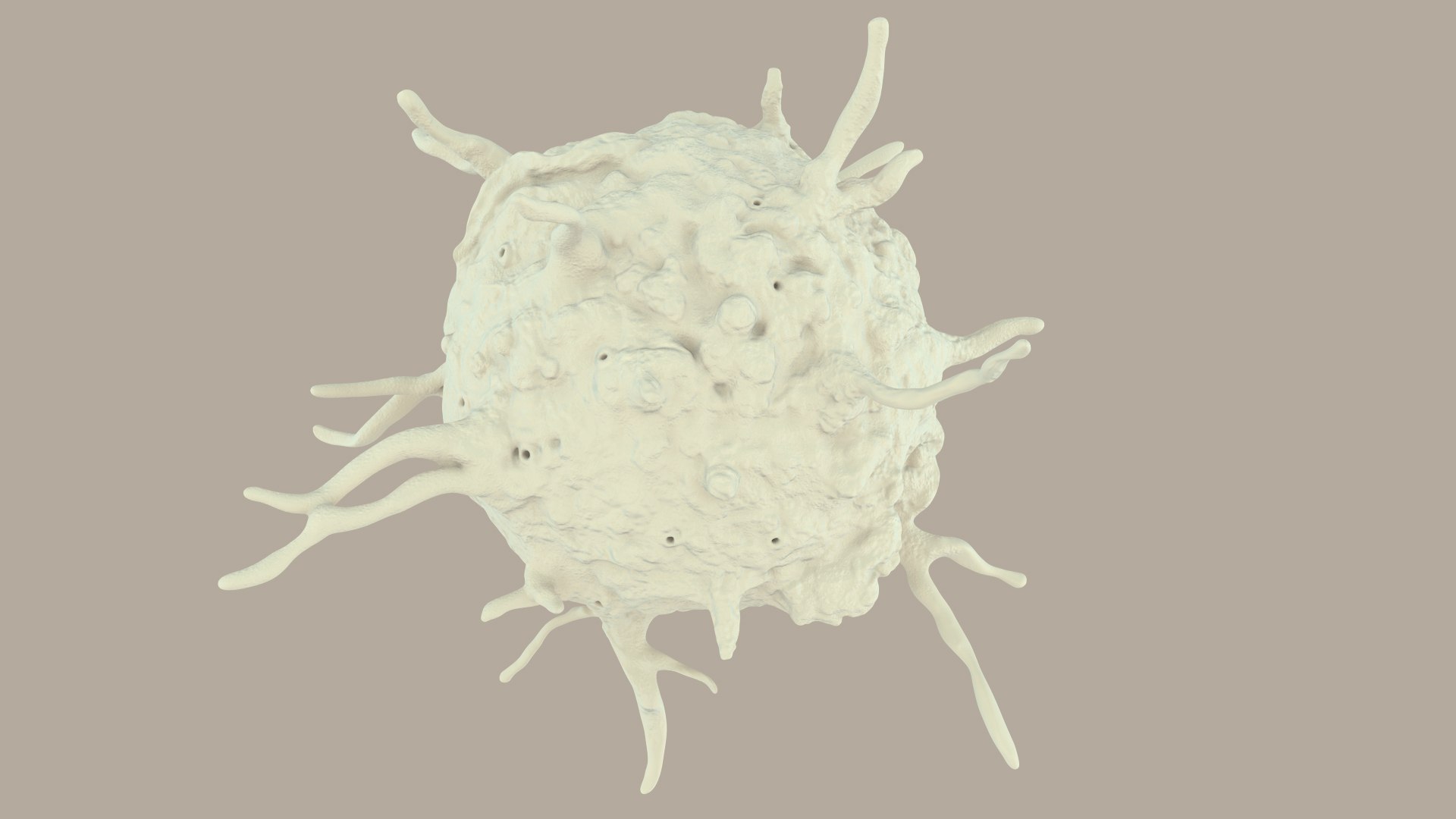 blood cells 3D model https://p.turbosquid.com/ts-thumb/QC/HzHQjL/jmD0U7hQ/platelets_0031/jpg/1588238049/1920x1080/fit_q87/f9e66b7966e9418e231544d9ae0effcab4eba418/platelets_0031.jpg